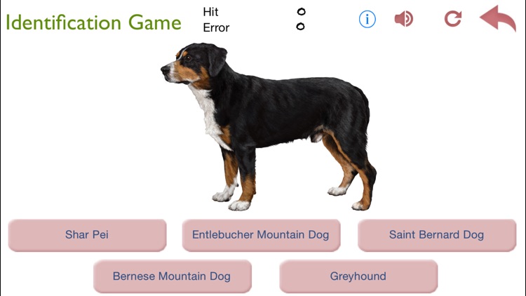 Dogs - Identification Guide screenshot-4