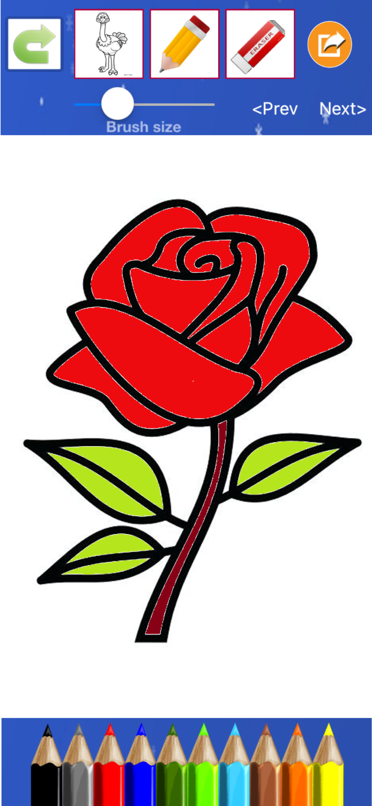 Flower Coloring Drawing book