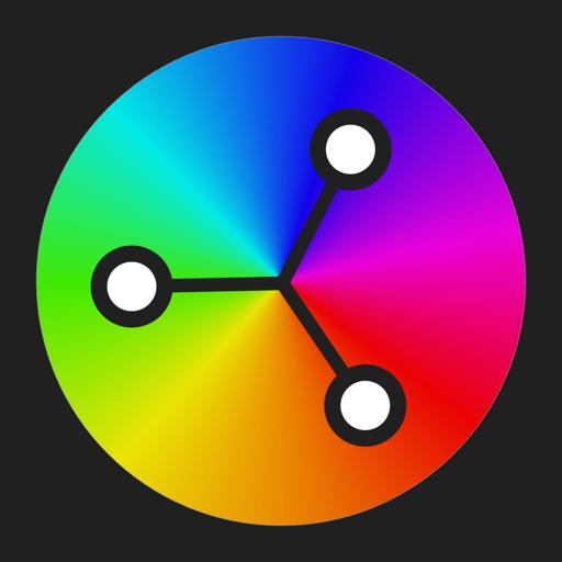 Color Wheel Professional