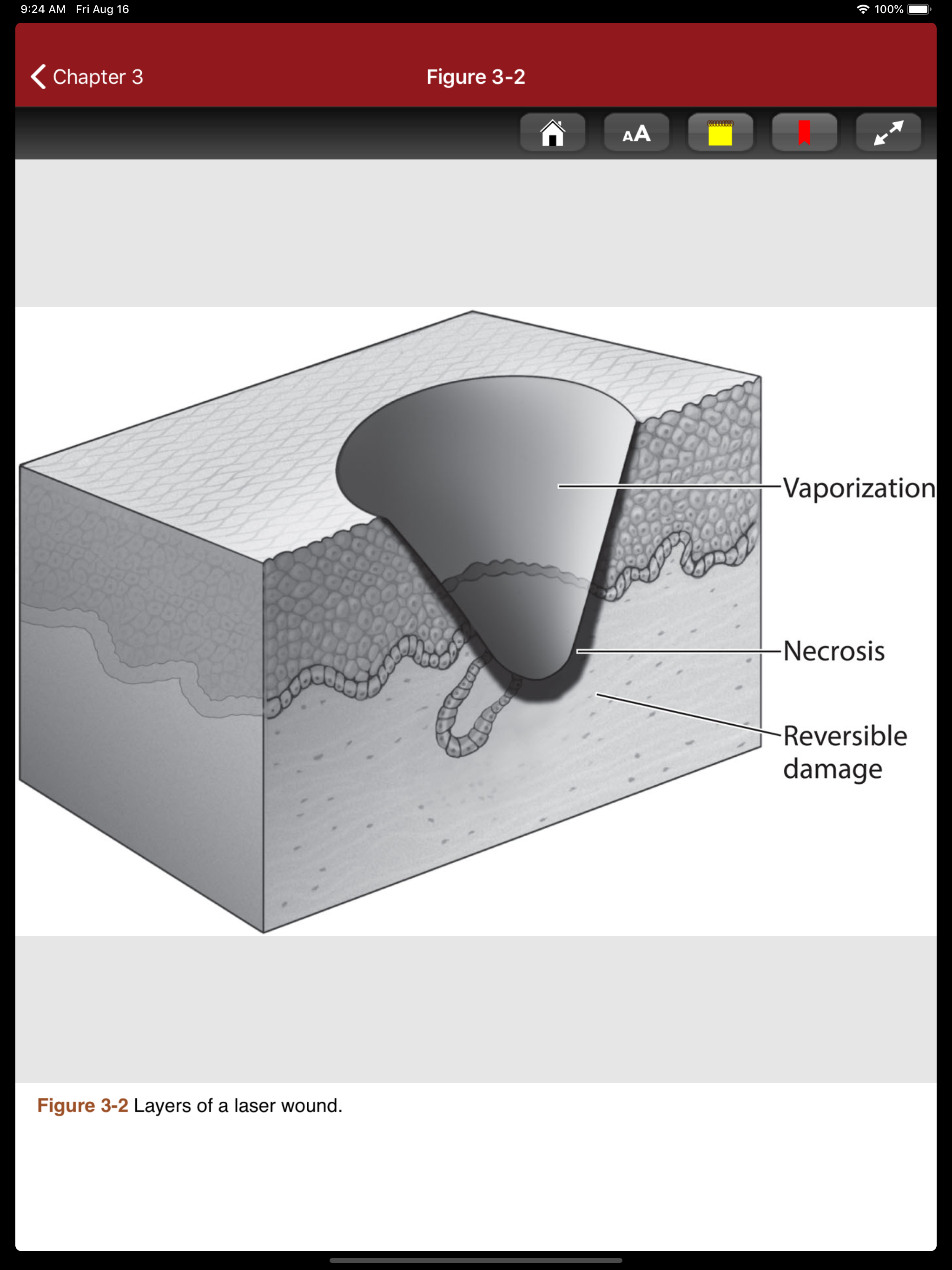 KJ Lee's Otolaryngology, 12/E screenshot 16