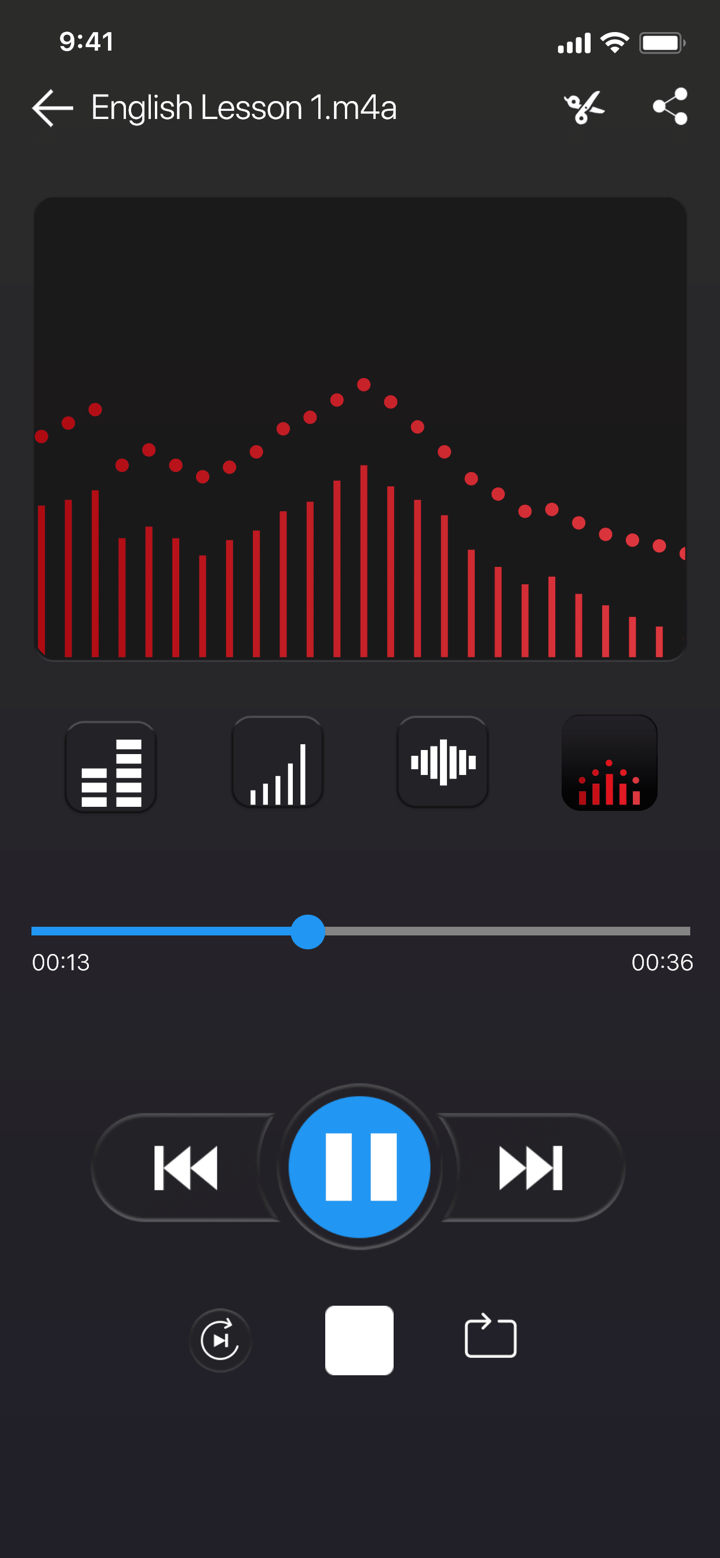 Voice recorder - Voz screenshot 1