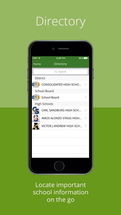 Consolidated HS District 230 Screenshot
