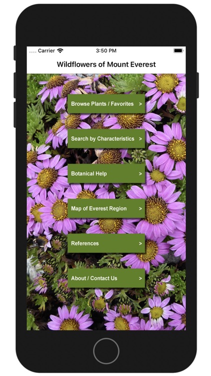 Wildflowers of Mount Everest screenshot-7