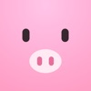 Pink Budget Planner icon