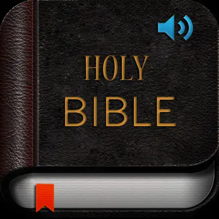 Holy Bible-English,Reading Cheats