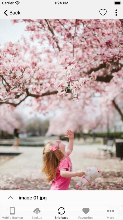 My Open Access screenshot-3