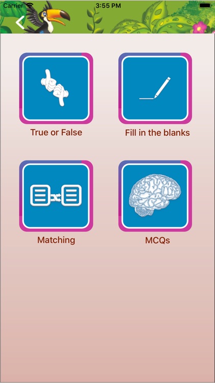 Viva Environmental Studies 4 screenshot-4