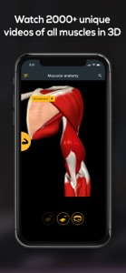 Anatomy by Muscle & Motion screenshot #5 for iPhone