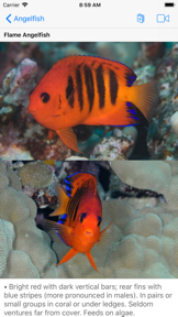 Scuba Fish Hawaii screenshot