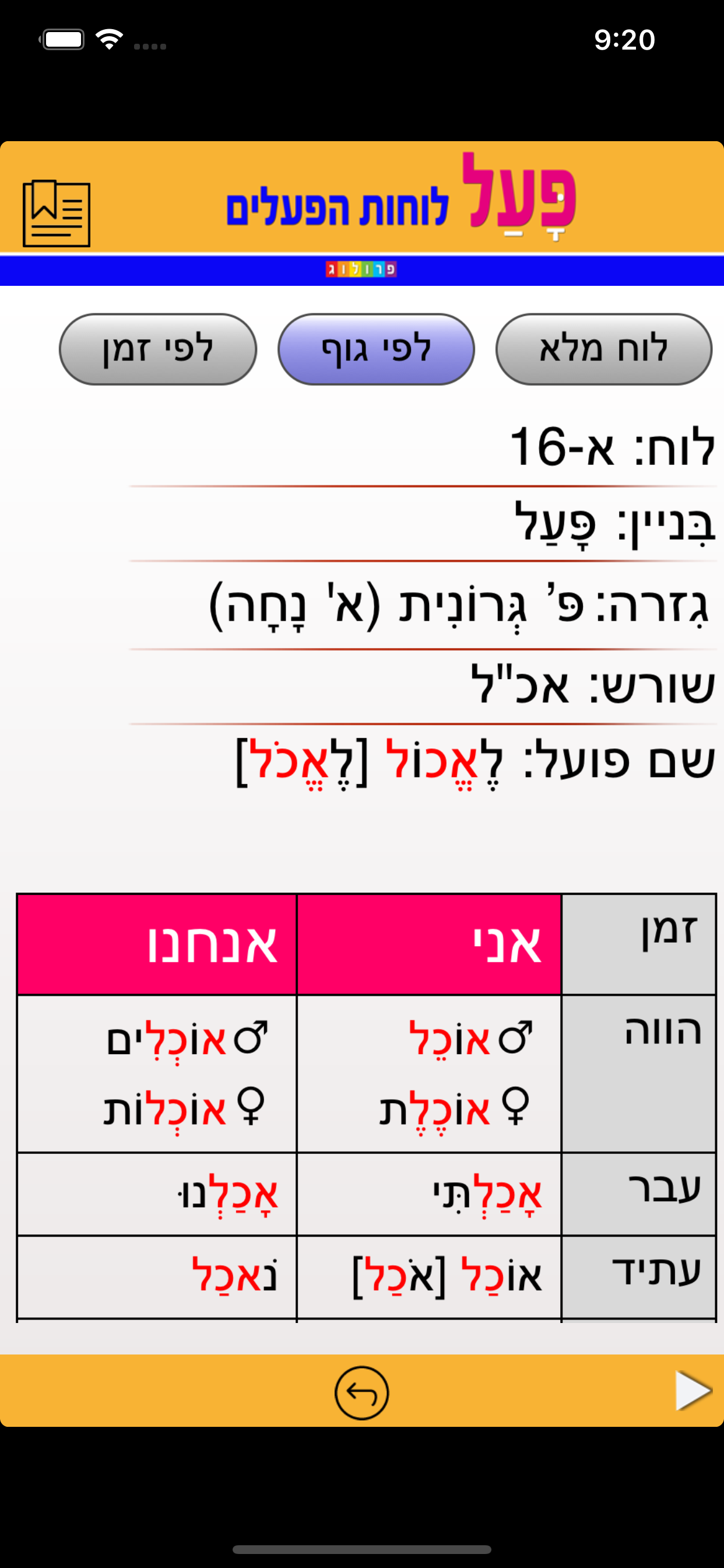 Hebrew Verbs & Conjugations