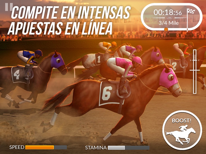 Photo Finish Horse Racing screenshot 7