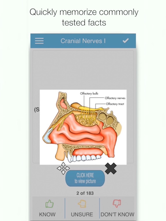 Screenshot #4 pour COMLEX Anatomy Cram Cards