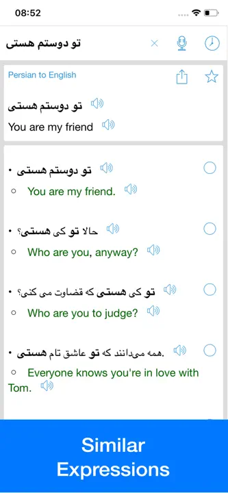 Persian Translator Offline: Screenshot 4 von 4