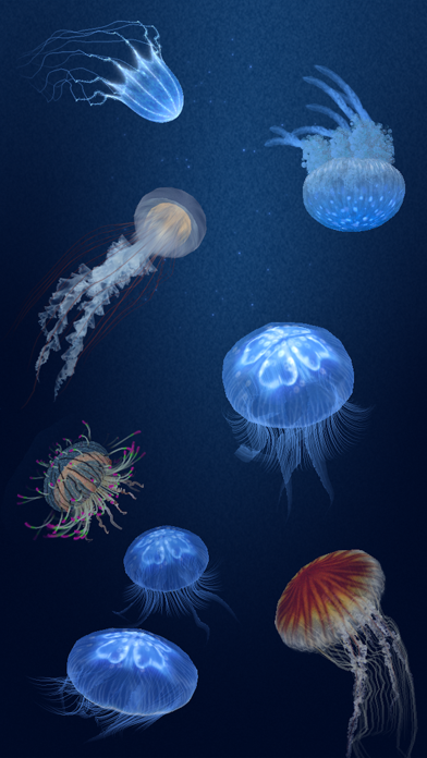 Screenshot #1 for Jellyfish Heaven - Relax Time