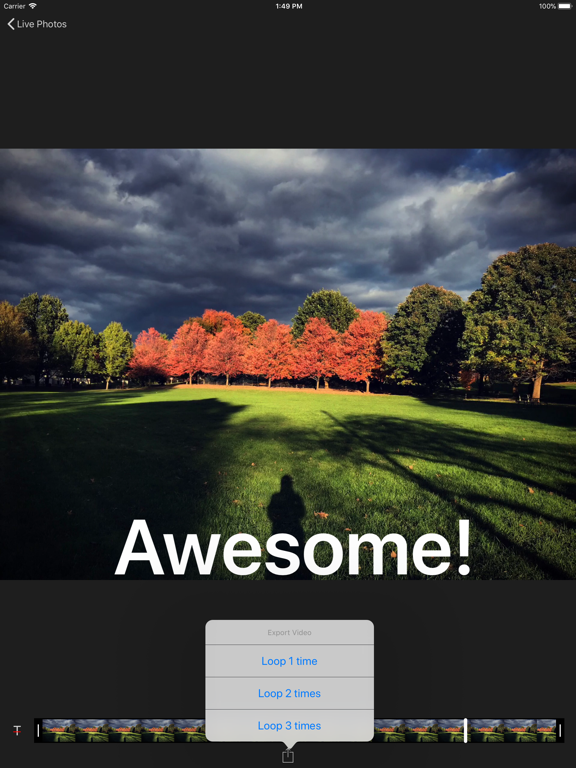 Screenshot #6 pour Live Photo Gif Video