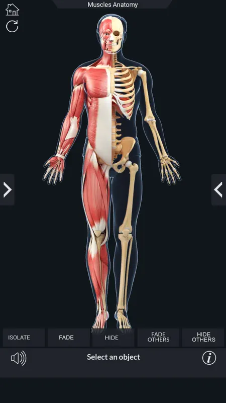 My Muscle Anatomy screenshot 8 of 8