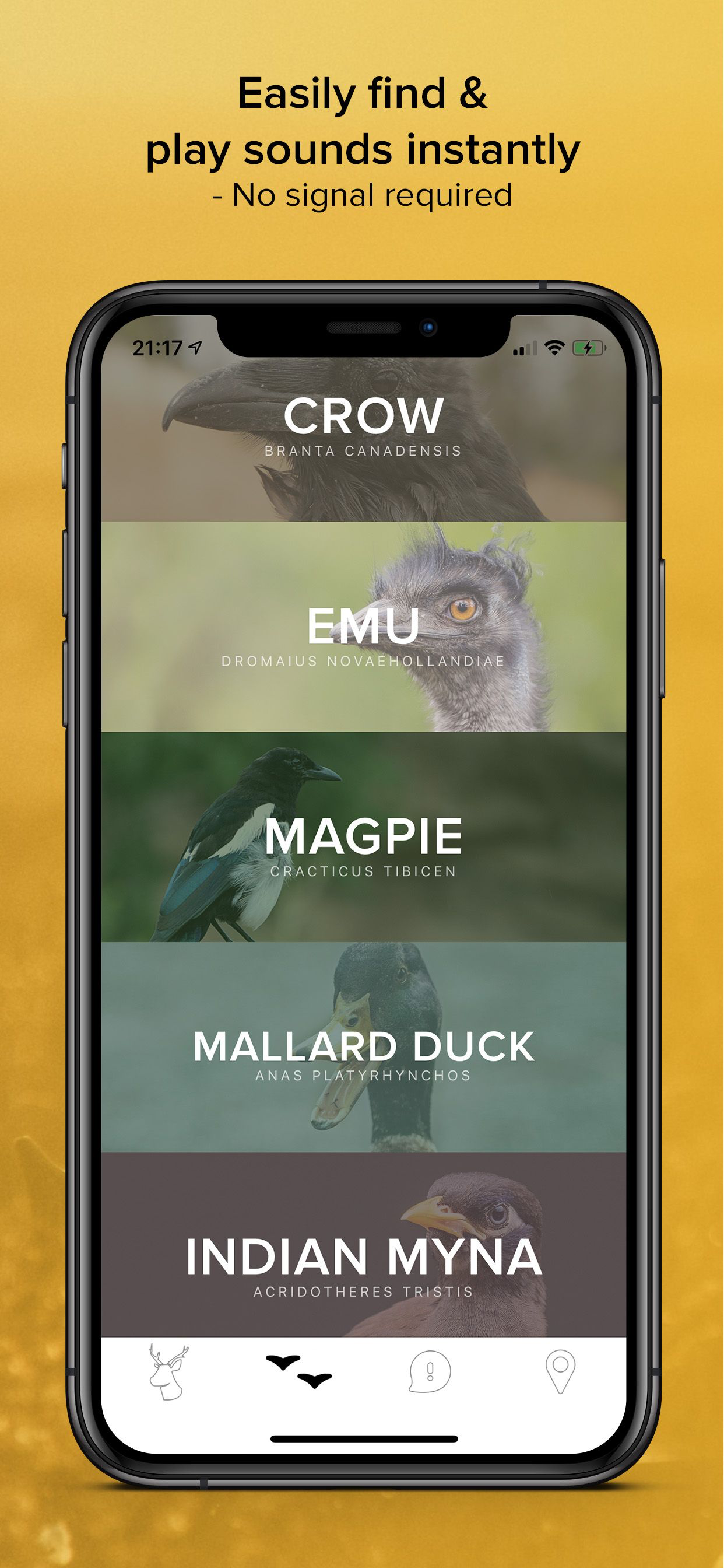 Game Calls Australia