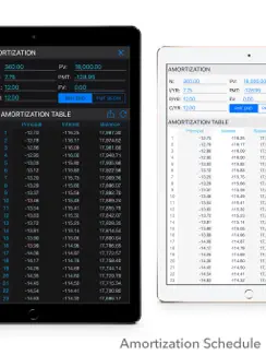 10bII Financial Calculator PRO iPad image 4