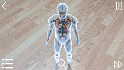 Screenshot #3 pour IRAE-AR