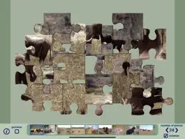 Game screenshot African Wildlife Puzzles apk