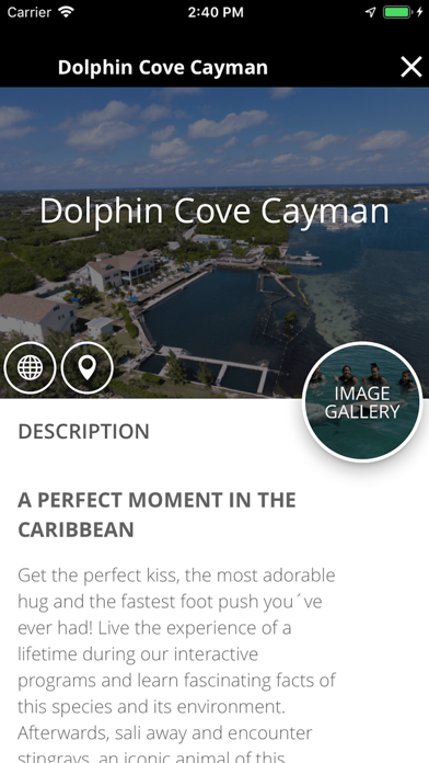 Screenshot #3 pour Dolphin Discovery Group