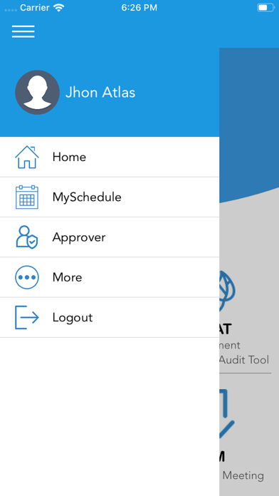 USEAT - Safety Audit Tool Screenshot