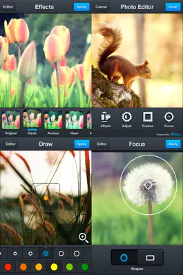 Game screenshot PhotoLab - Photo Editor Pro mod apk