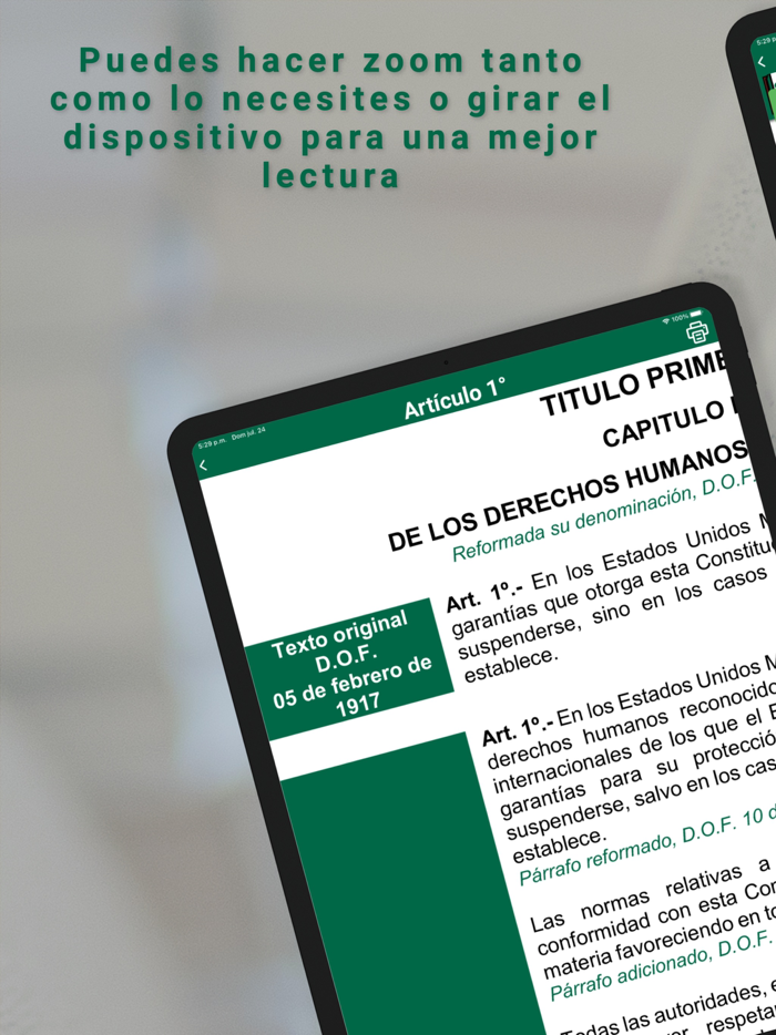 Constitución Mexicana