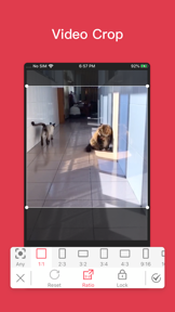 Delogo - Video editing tool screenshot