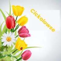 Cickolowse pour PC