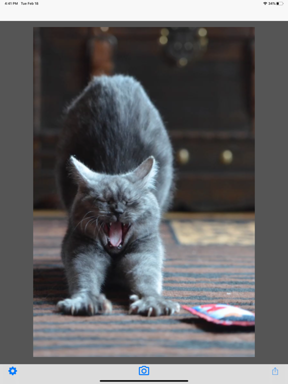 Screenshot #4 pour MyTimeLapse