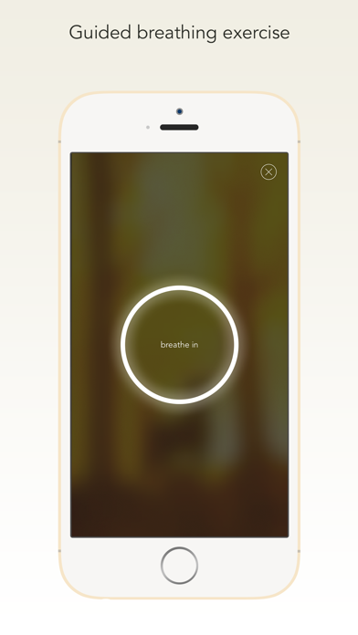 Wildfulness 2 - Nature Sounds Screenshot