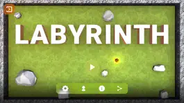 Game screenshot APD Labyrinth mod apk