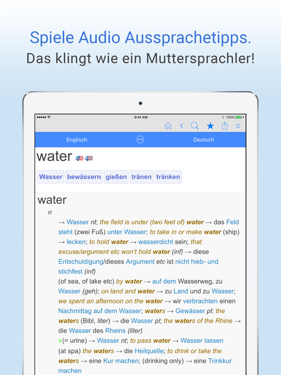 Deutsch-Englisch Wörterbuch. iPad screenshot 5 - Reference app
