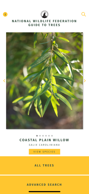 NWF Guide to Trees