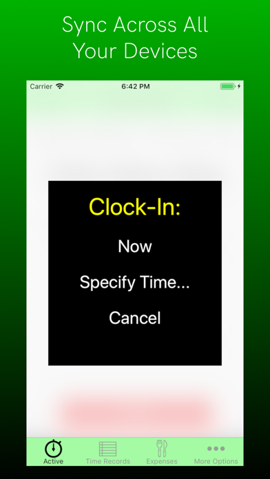 TimeClock Connect: Track Hours Screenshot