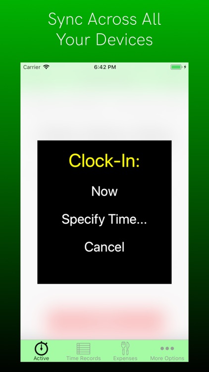 TimeClock Connect: Track Hours screenshot-4