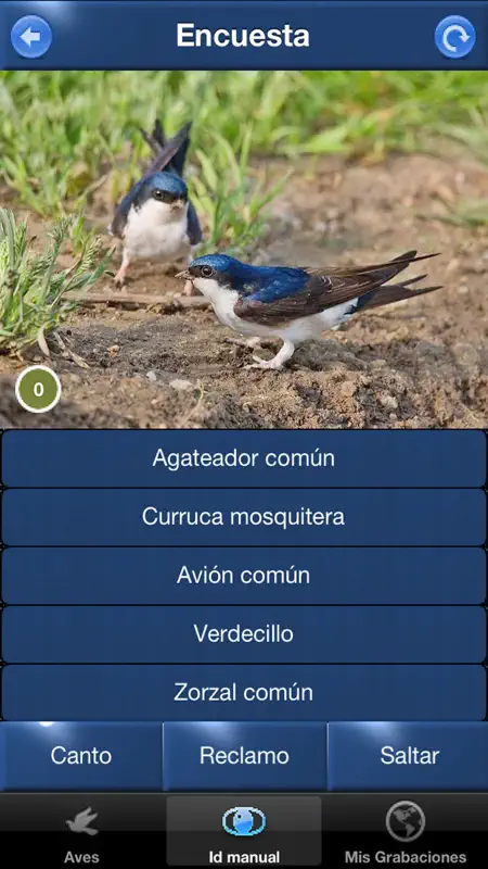 Cantos de Aves Id screenshot 5 of 5
