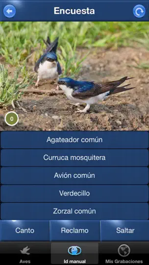 Captura de pantalla de Cantos De Aves Id en iPhone 5