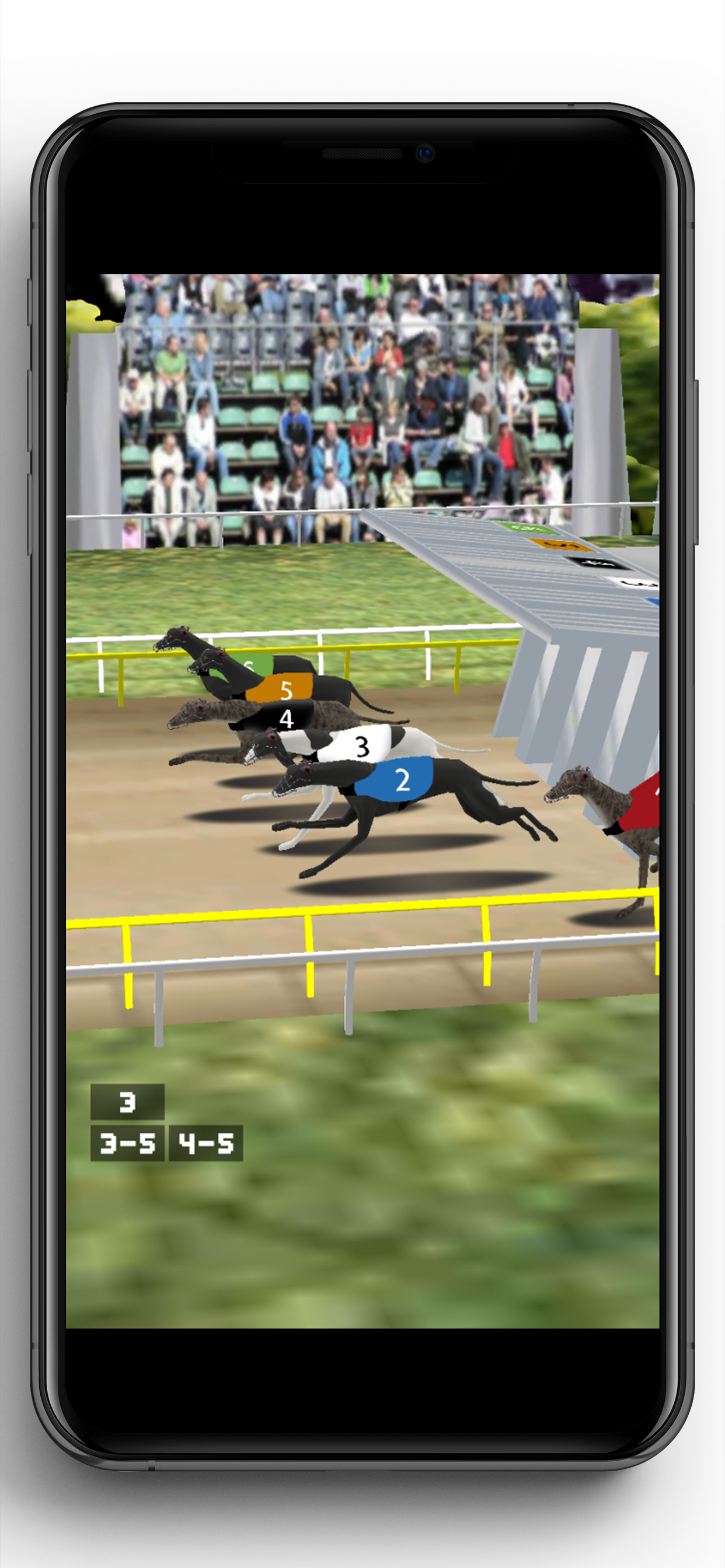 Simple Greyhound Racing