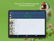 Bird Song Id UK ipad bilder 2
