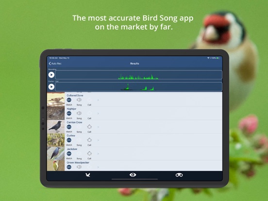Screenshot #6 pour Bird Song Id UK