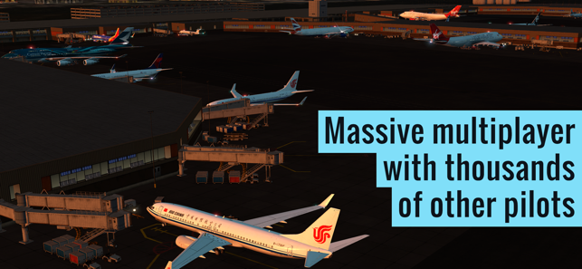 ?X-Plane Flight Simulator Screenshot