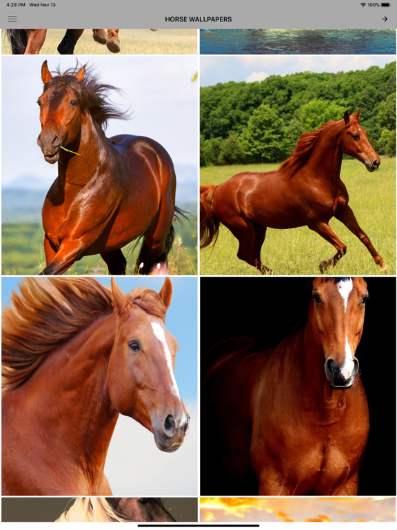 Screenshot #4 pour Chevaux Fonds d'écran