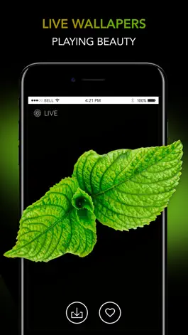 Game screenshot 3D Themes - Live Wallpapers hack
