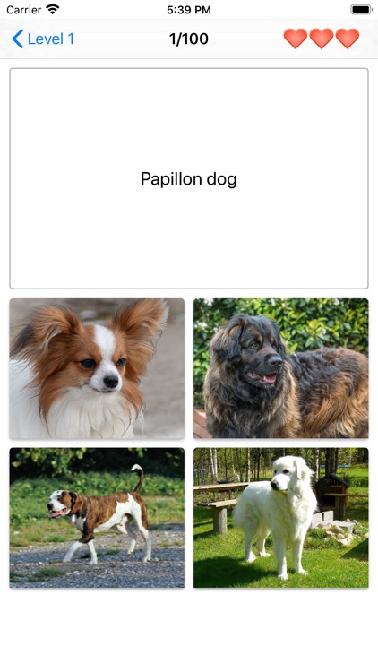 Dog Breeds Quiz - Dog Games