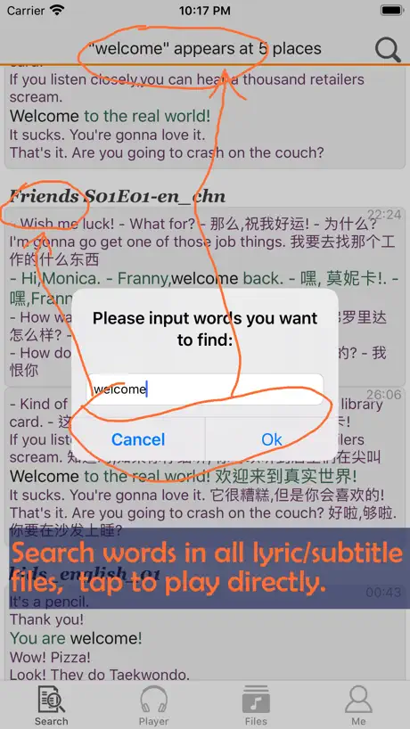 lyric player, subtitle player