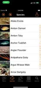 Marine Fish Great Barrier Reef screenshot #3 for iPhone