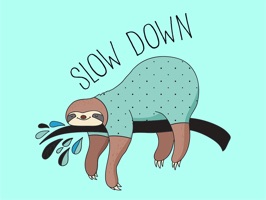 Cute Slow Down Sloth