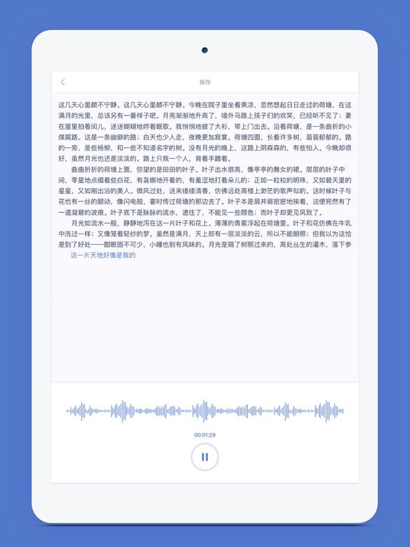 录音转文字 iPad screenshot 2 - Productivity app